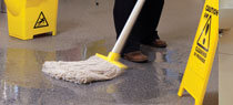 Cleaning Guides